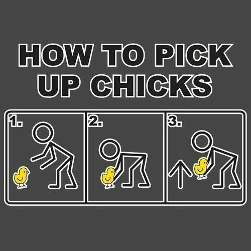 pickupchicks.png