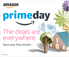 primedayusa1.png