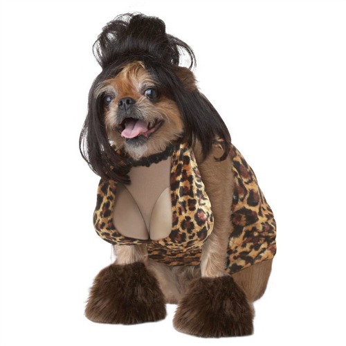 prositute-halloween-dog-costume.jpeg
