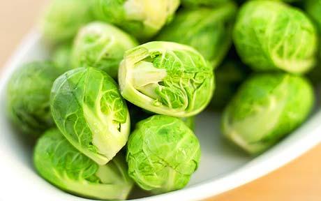 psprouts12_1204061c.jpg
