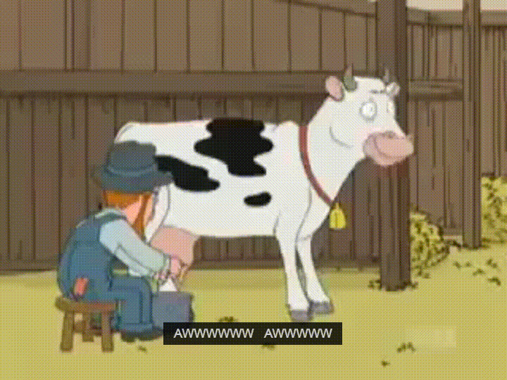 qDmRin7.gif