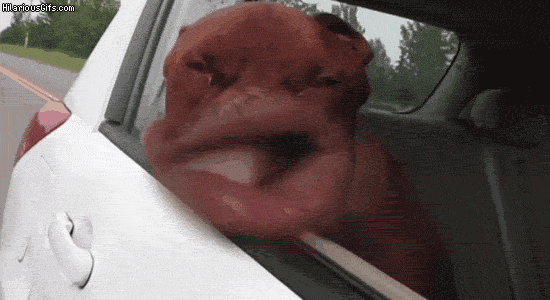 qqg19A7.gif