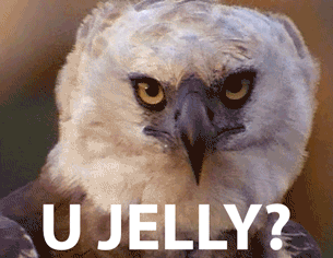 received_511418889578093.gif