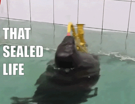 received_842215332878423.gif