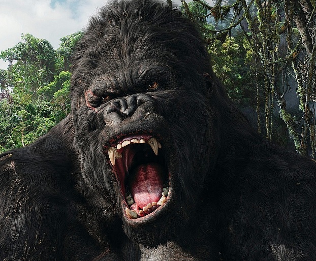 ROAR!!!.jpg