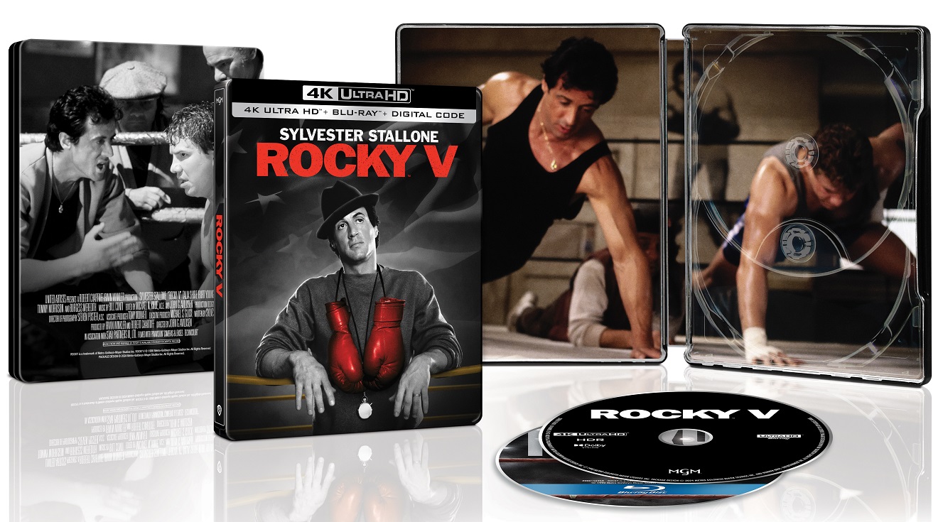 Rocky V.jpeg
