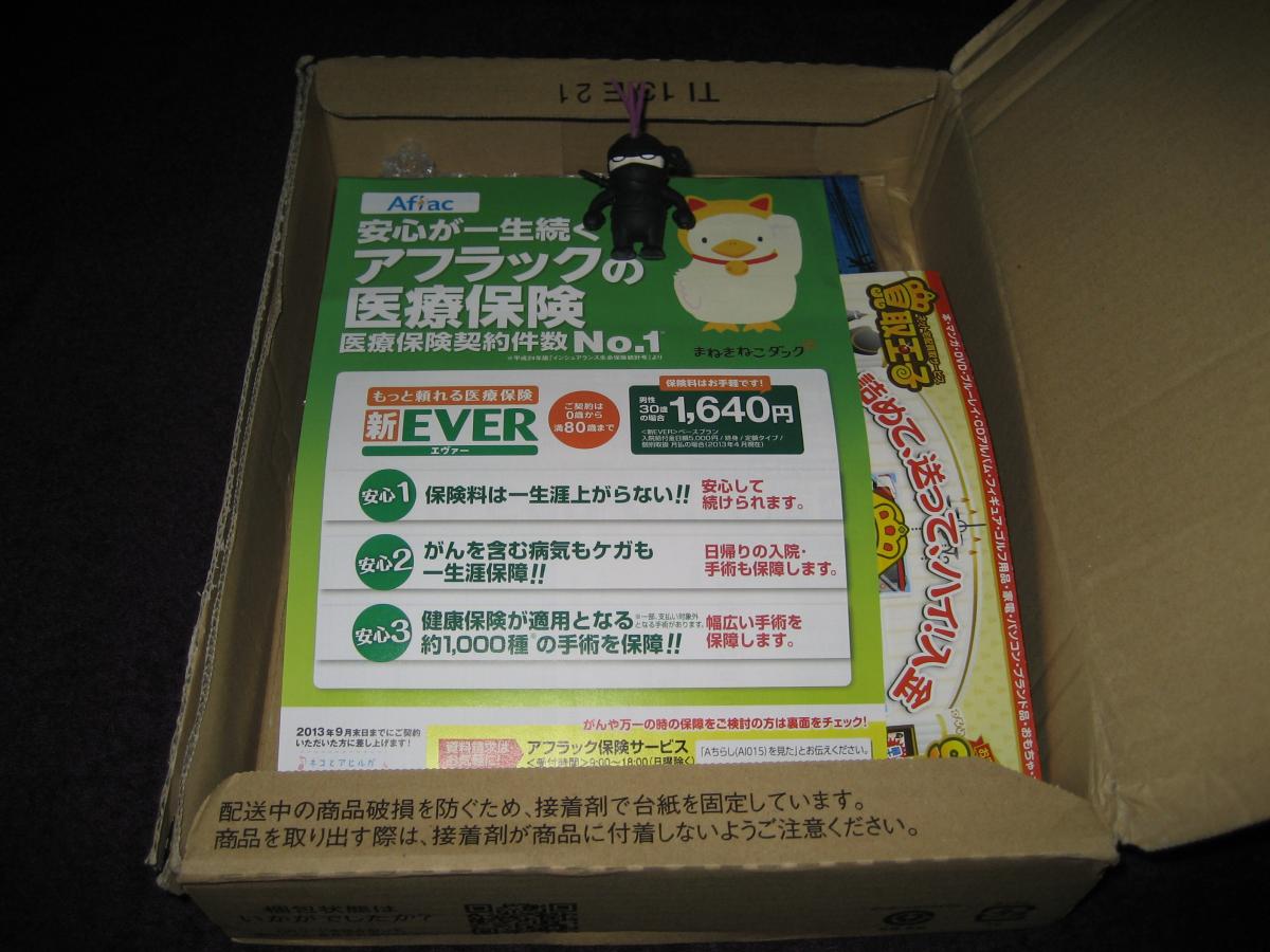 S3DJUBP (13).jpg