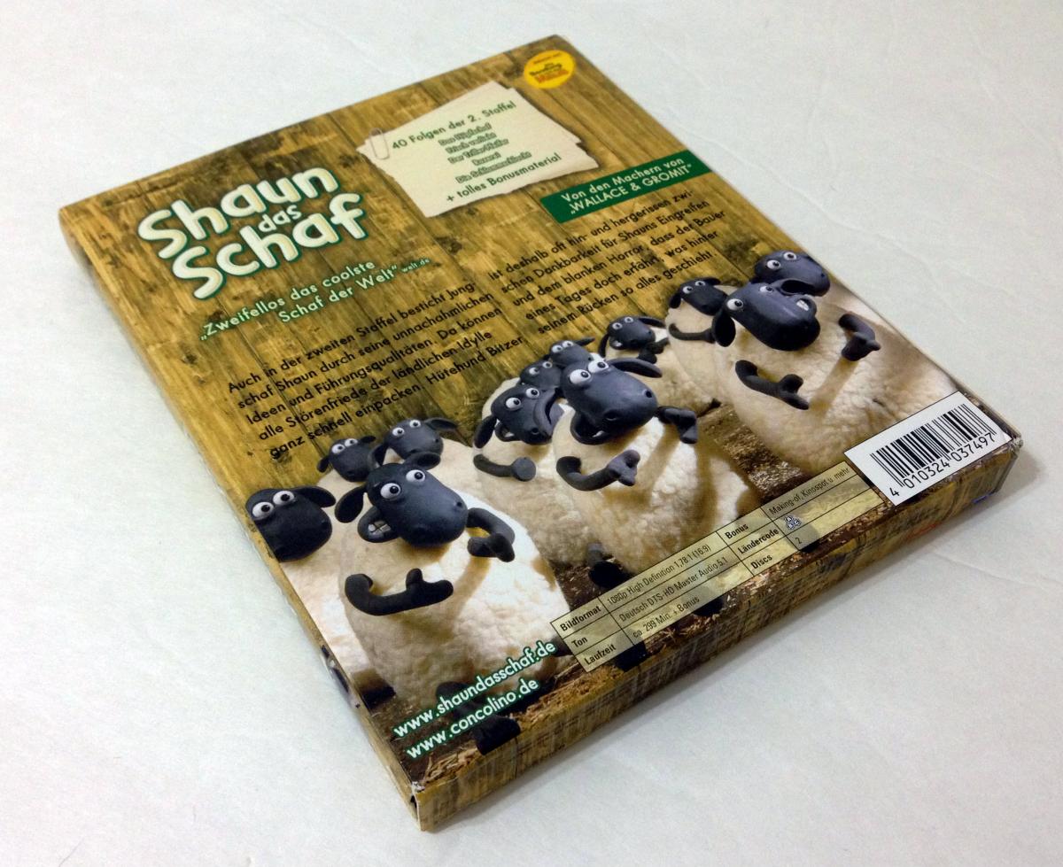 SHAUN BACK.jpg