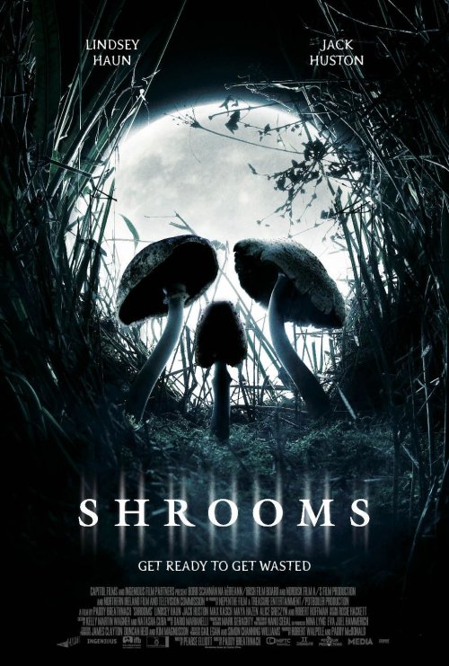 Shrooms-Poster-video-sharing-438778_500_741.jpg