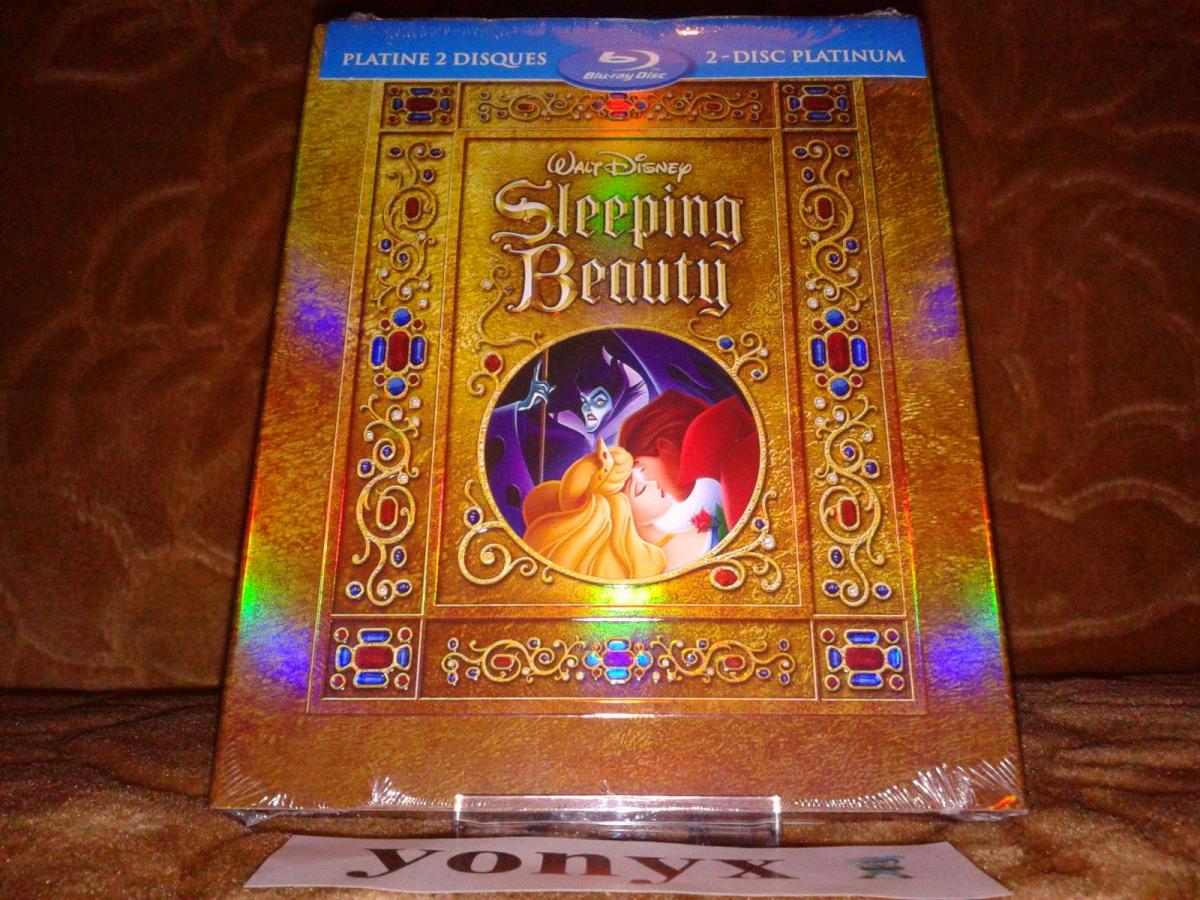 SleepingBeautyFS.jpg