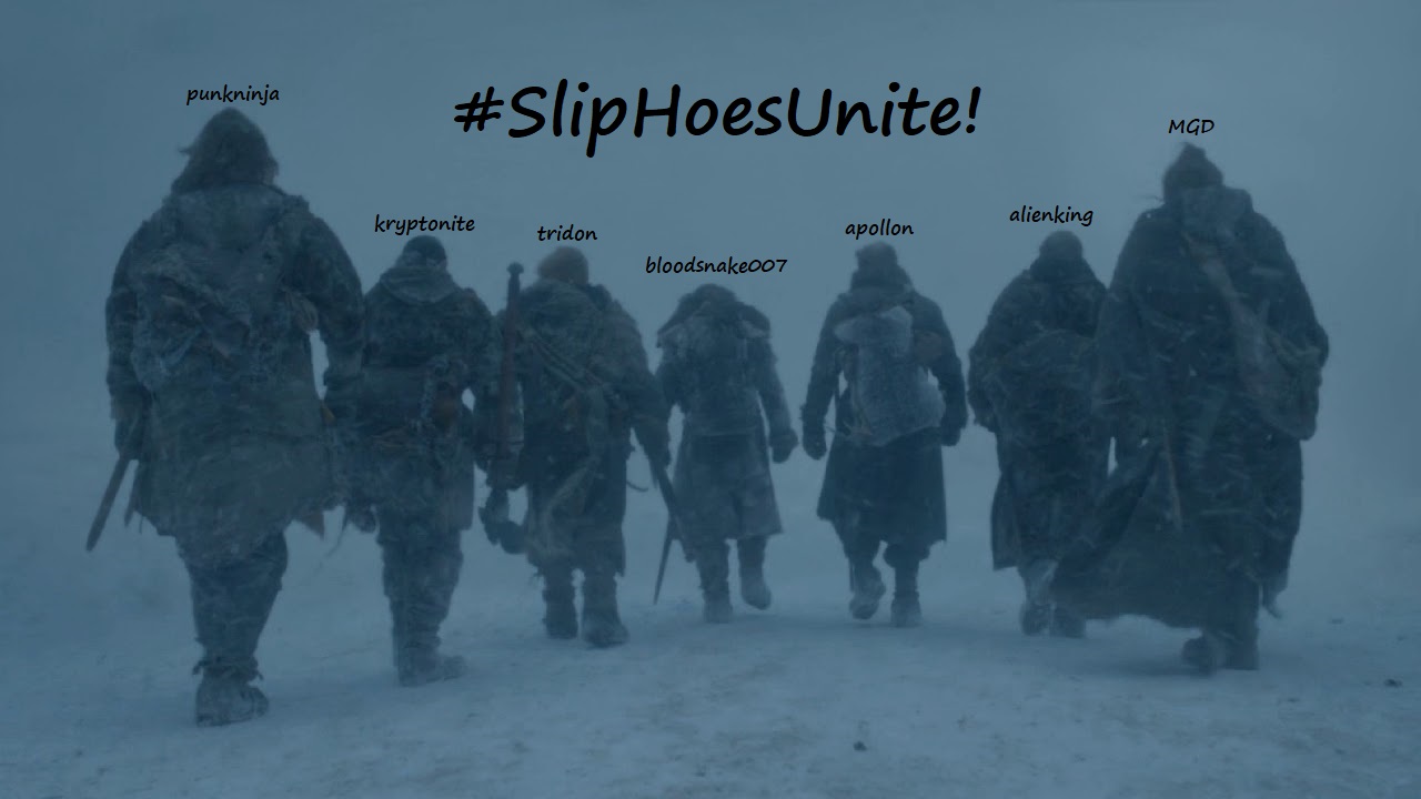 slipcover hoes.jpg