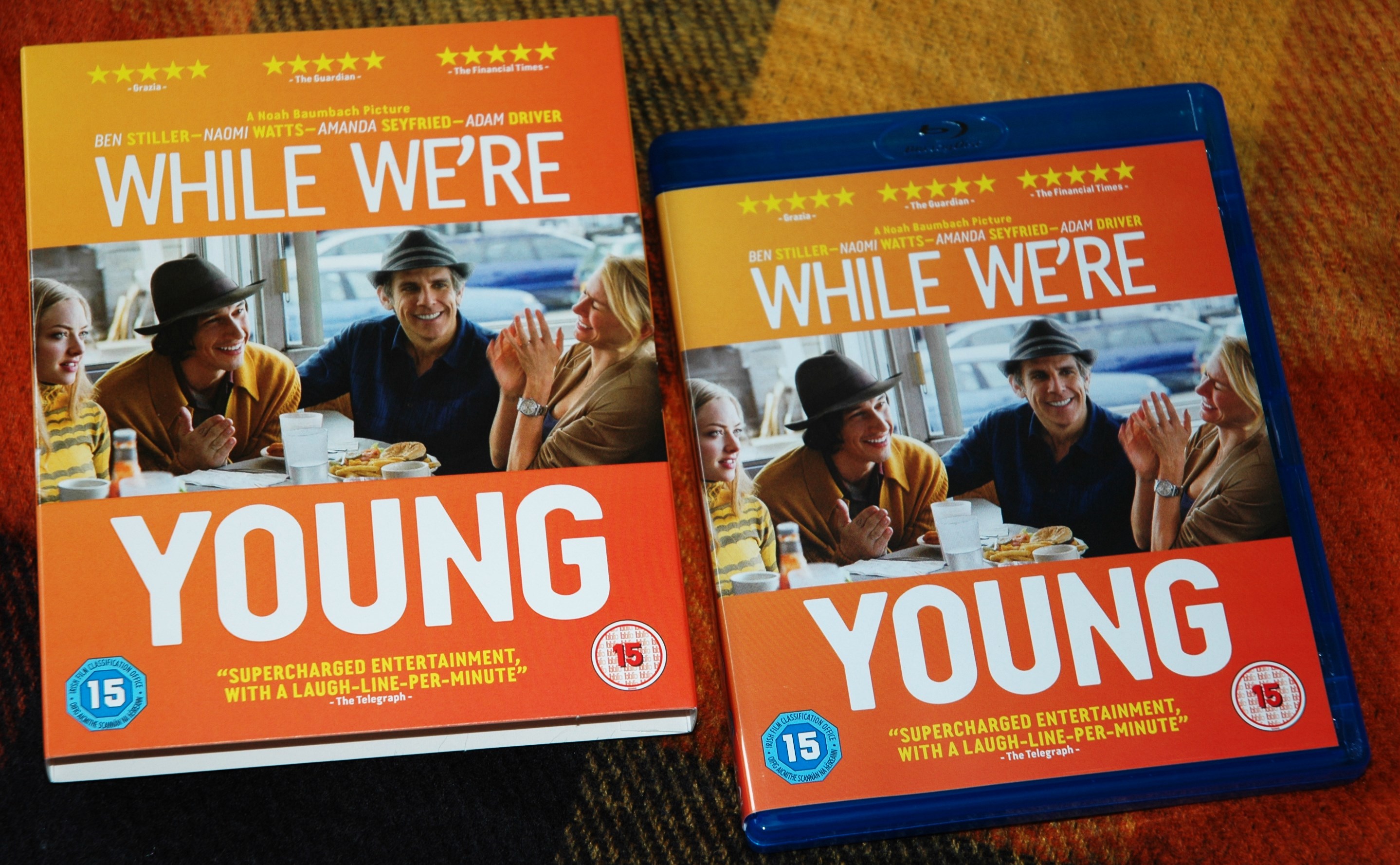slipcovers2015nov (6).JPG