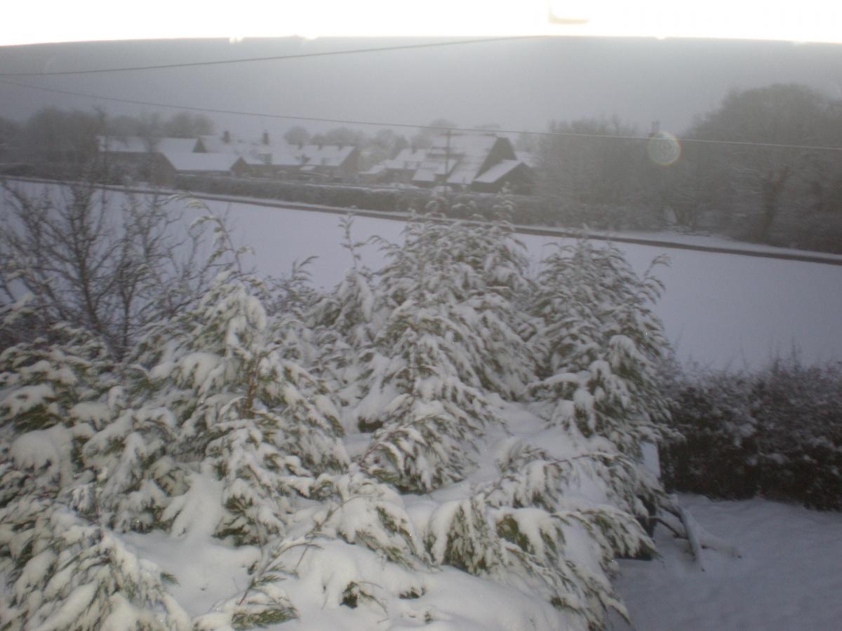Snow 002.jpg