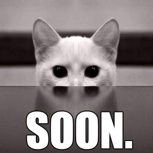 soon.jpg