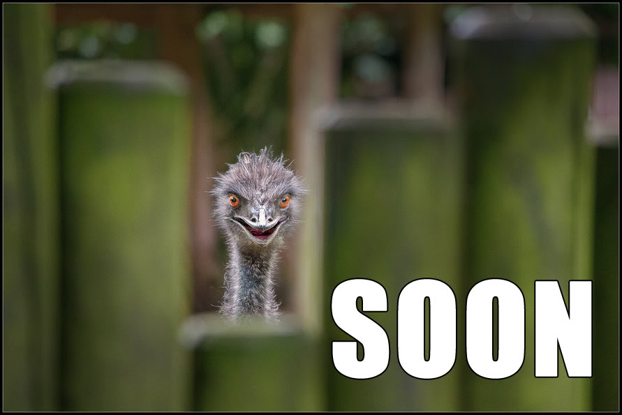 Soon.jpg