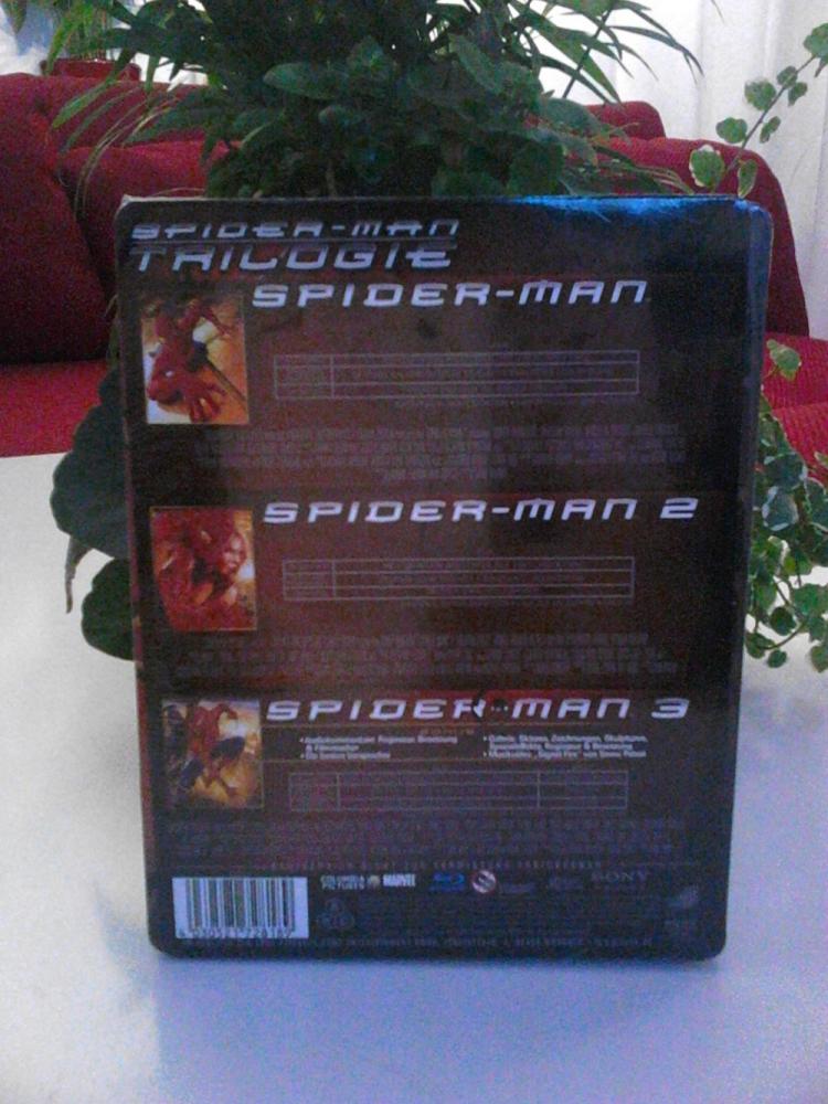 spider2.jpg