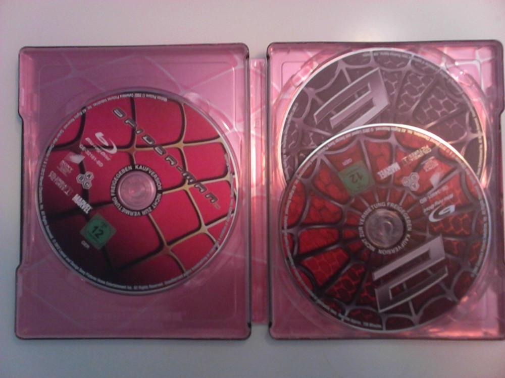 spider5.jpg