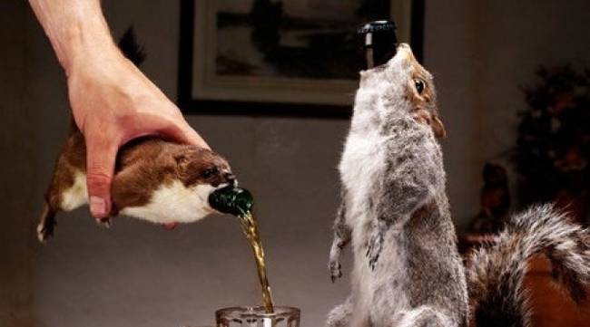 squirrel-beer.jpg.650x0_q70_crop-smart.jpg