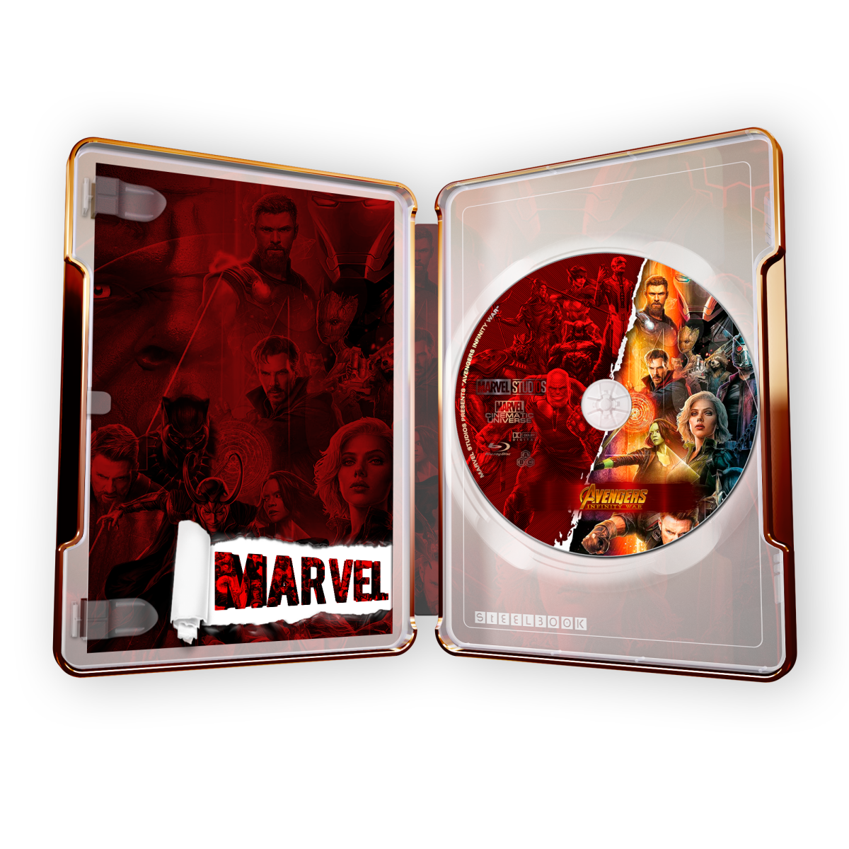 SteelBook_OpenInside_V1-1.png