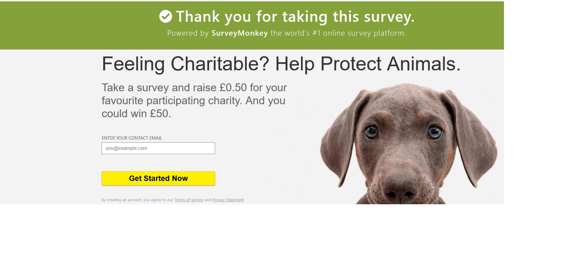 surveymonkey.jpg