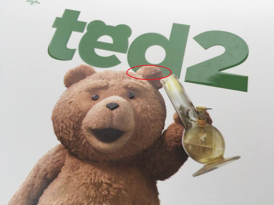 ted.jpg