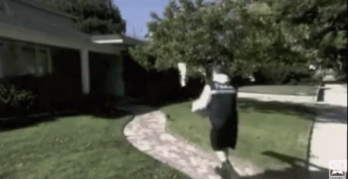 tenor (18).gif