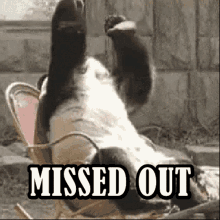 tenor - 2020-08-07T162813.804.gif