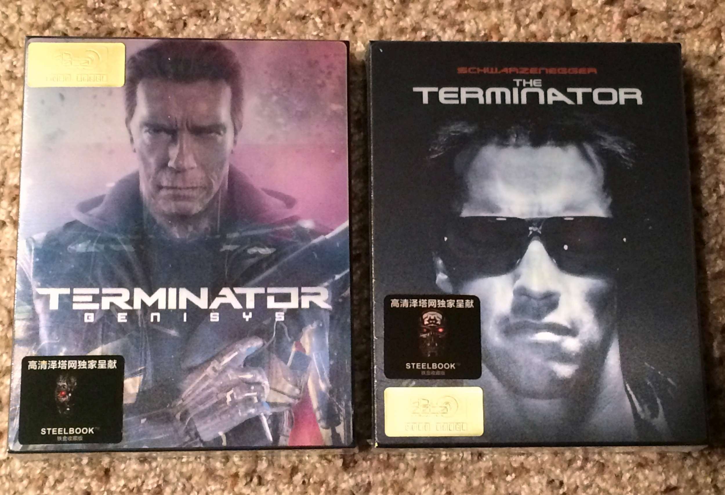 Terminator HDZeta-2500.jpg
