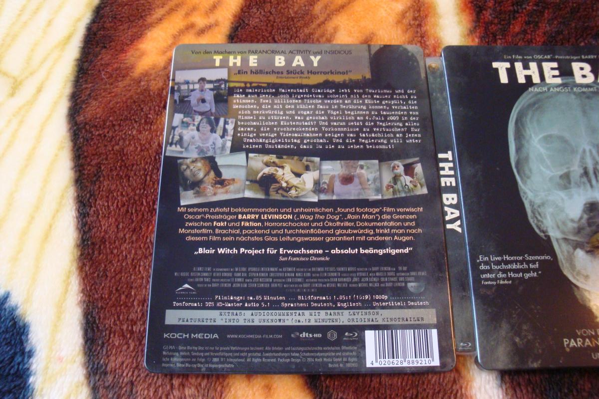 THe Bay Back.jpg