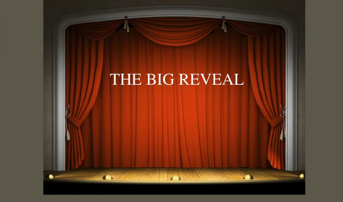 THE BIG REVEAL.jpg