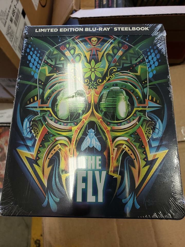 The Fly.jpg