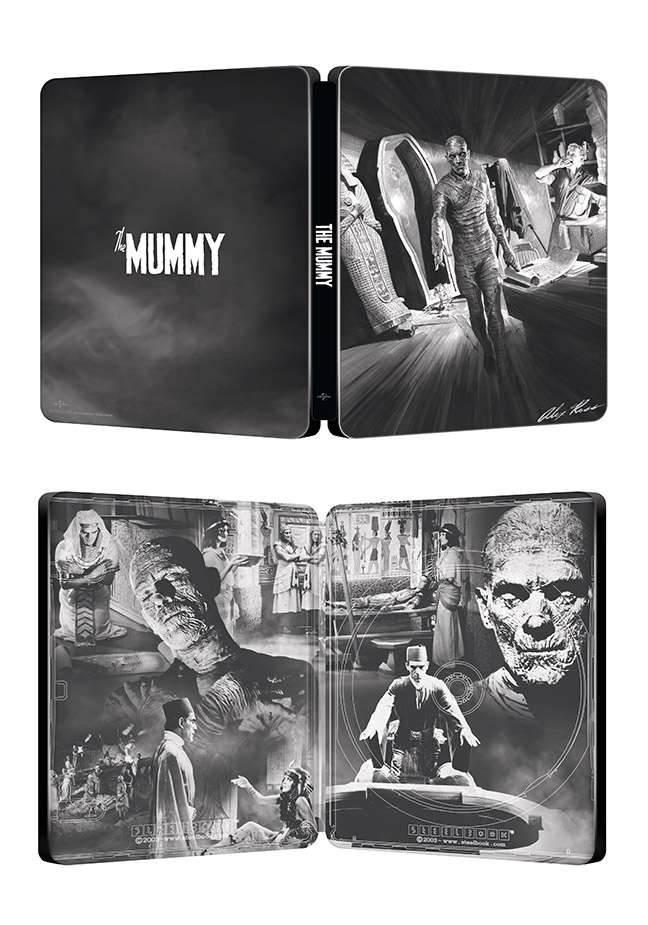 the_mummy_-_limited_steelbook_blu-ray_no-40524248-bckl.jpg