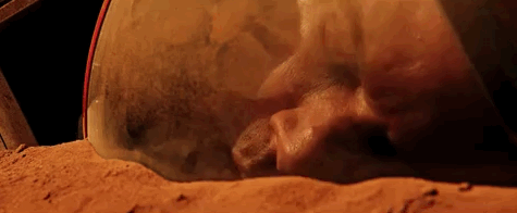 TheMartianKO.gif
