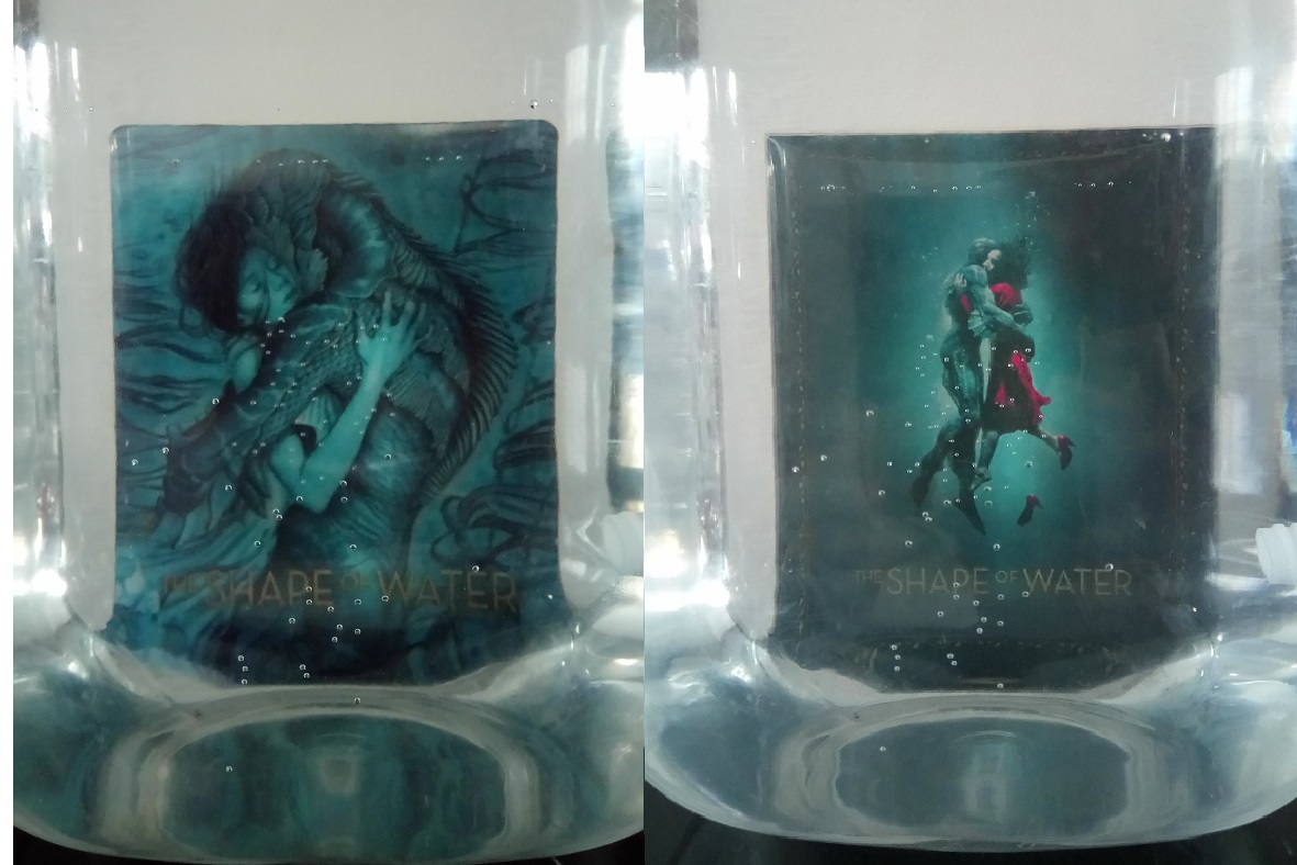 TheShapeInWater.jpg