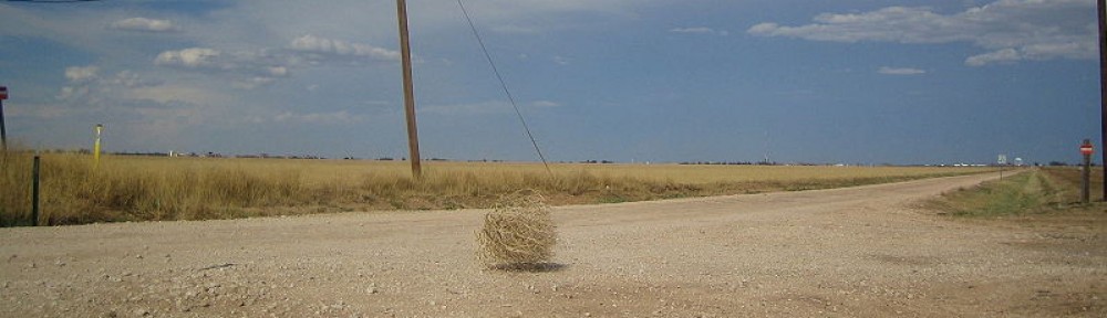 Tumbleweed.jpg
