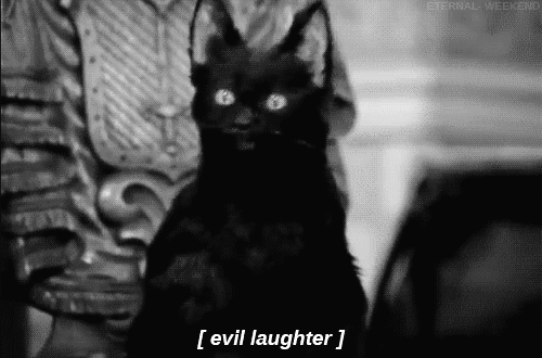 tumblr_m8ejqkZ9Pd1qg7fi6o1_500.gif