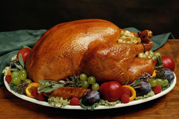 turkey.jpg