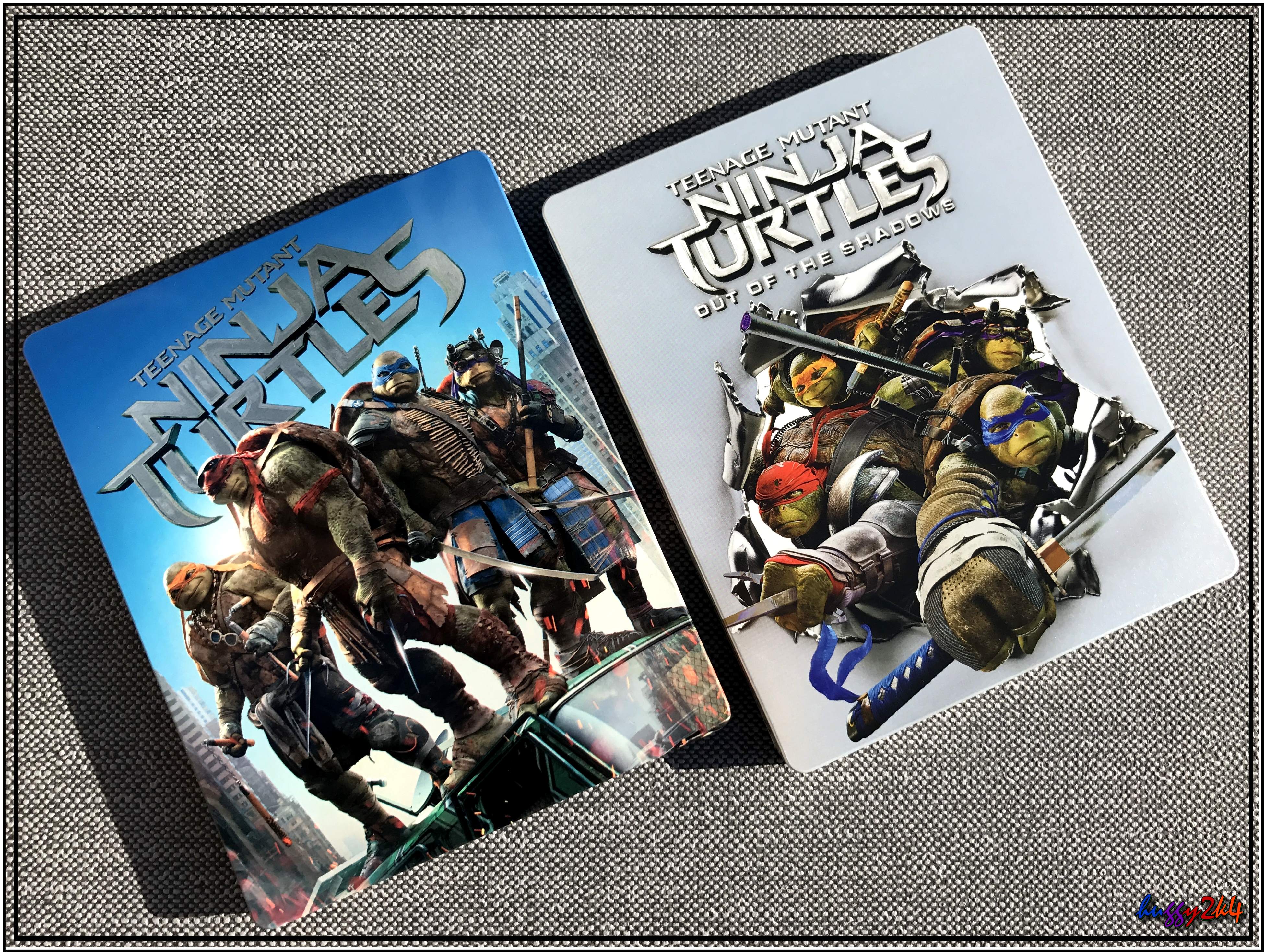 Turtles2.8.jpg