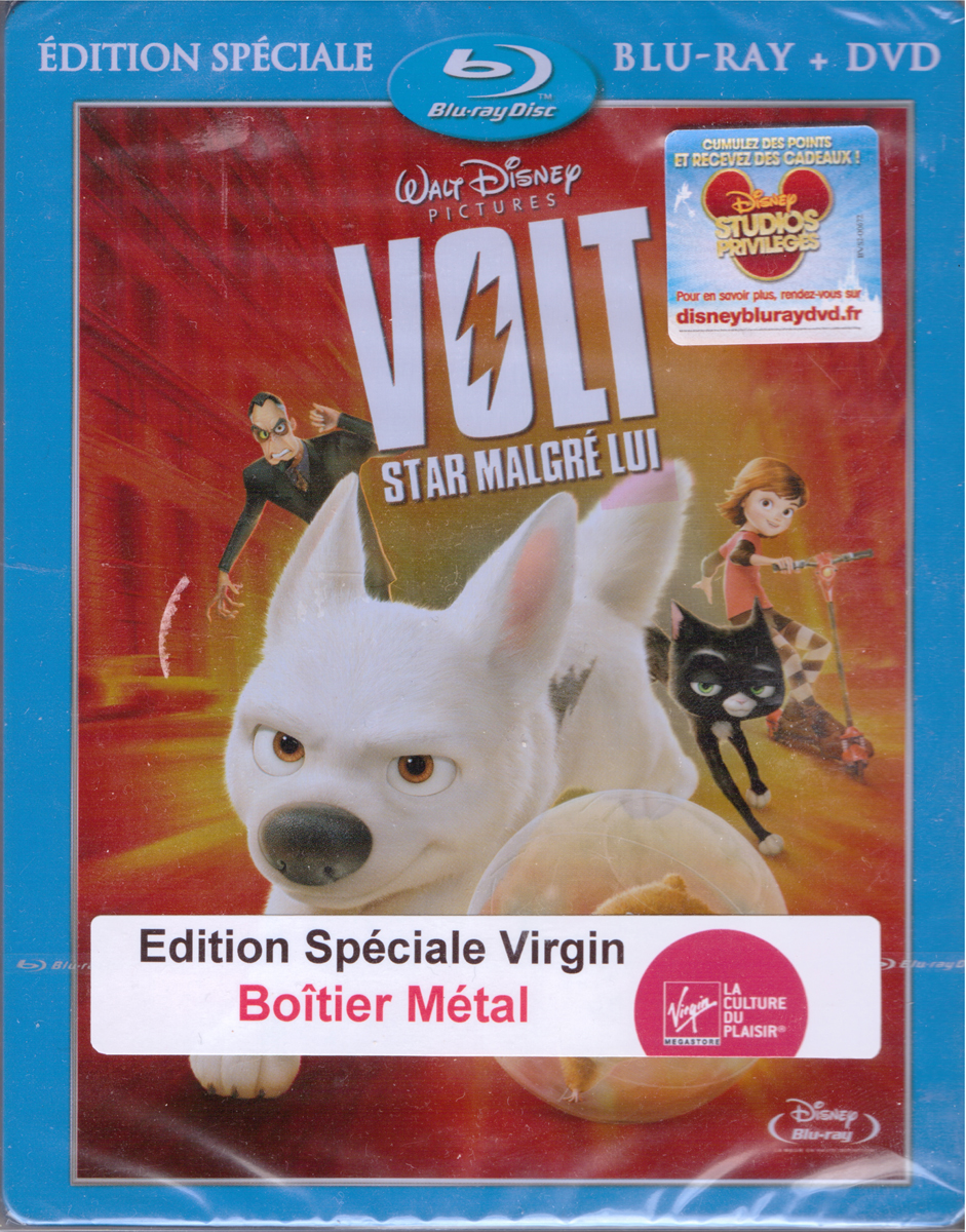 Volt France.jpg