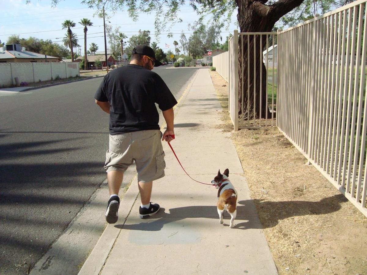 walkingmydog.jpg