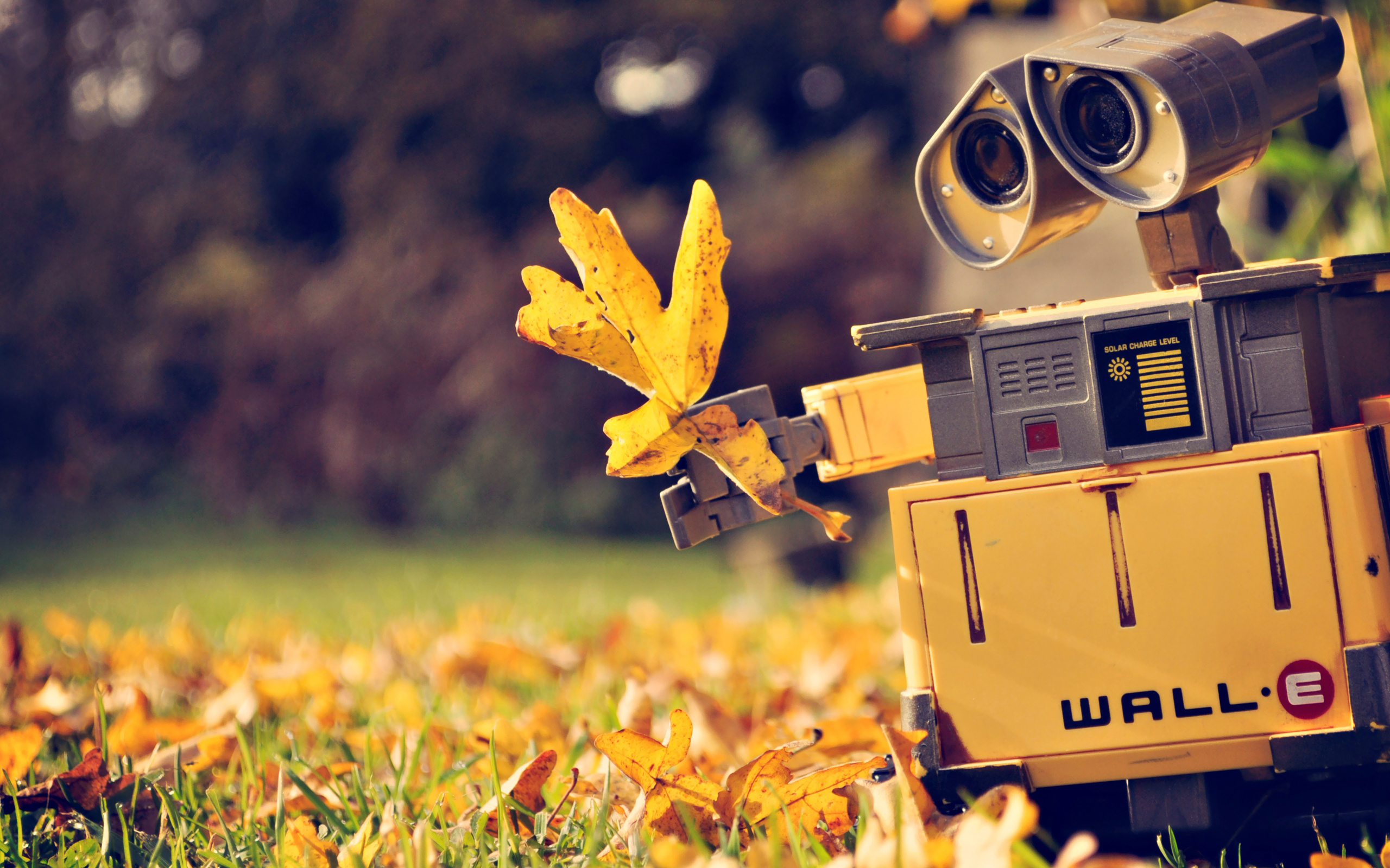 Wall.E-HD-Wallppers-1.jpg