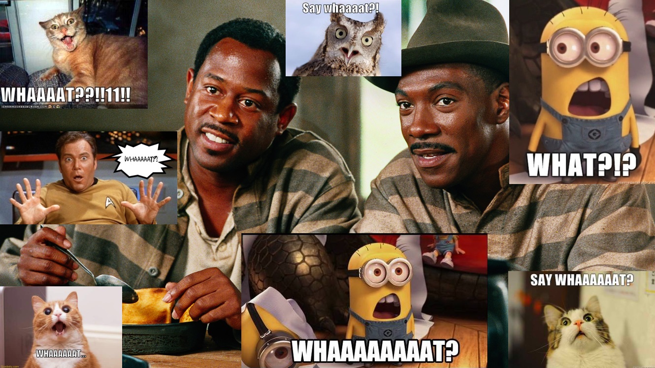 what.jpg