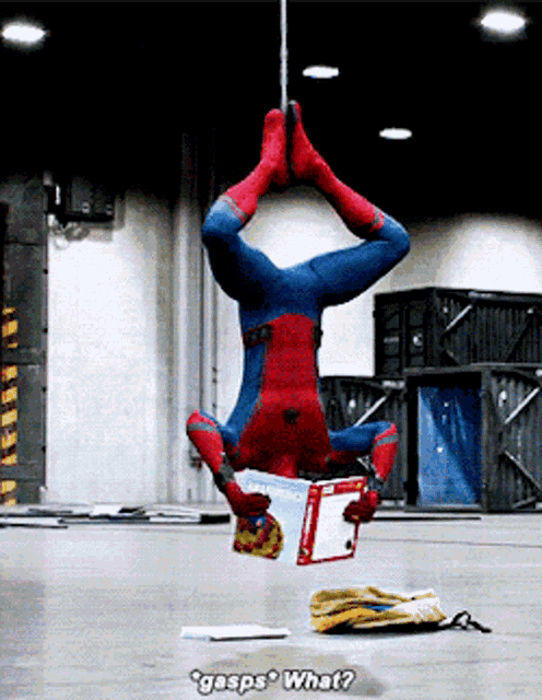 what-spiderman.gif