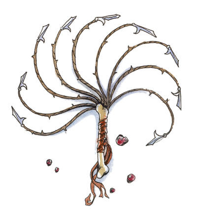 whip-jpg.93350
