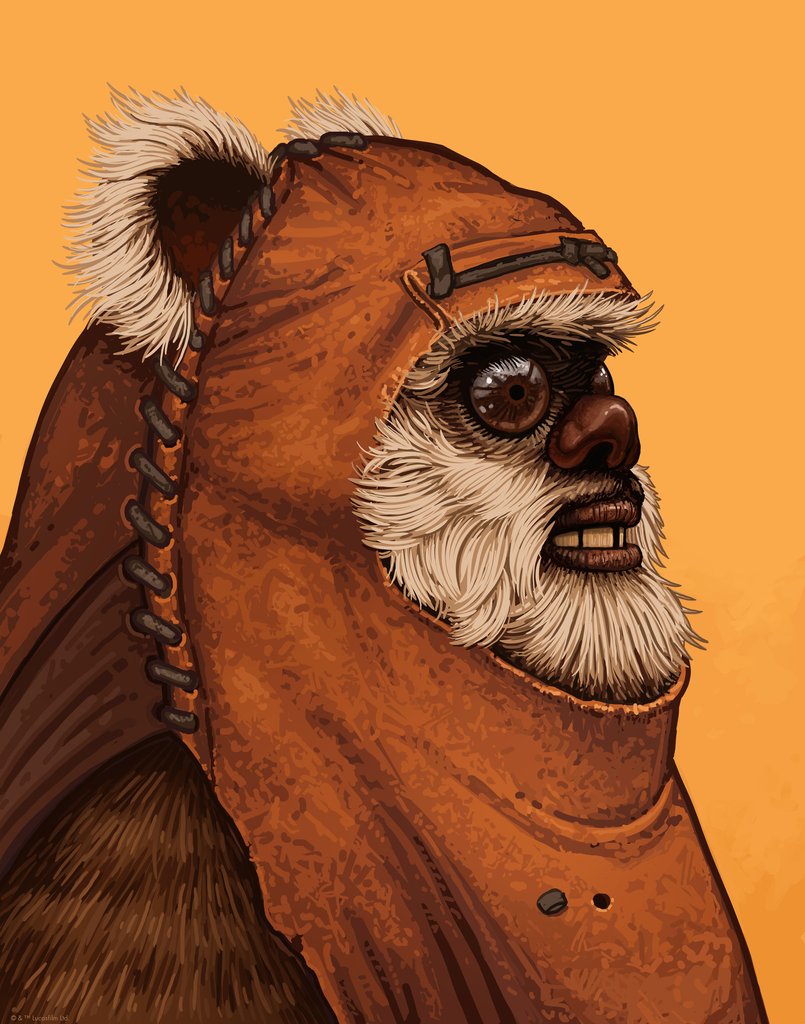 Wicket.jpg