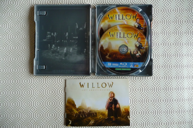 willow-3.jpg