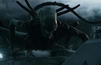 Xenomorph ( Alien ).jpg