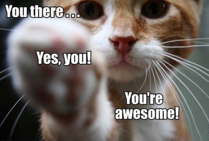 You_there_Yes_you_Youre_awesome_9buz.jpg
