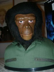 Apes.jpg