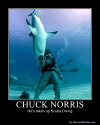 634182352525983330-ChuckNorris.jpg
